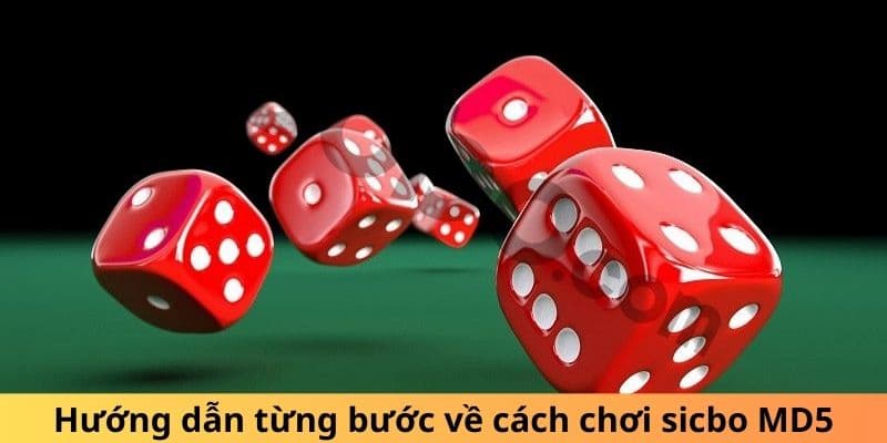 Hướng dẫn cách chơi tài xỉu md5 siêu dễ