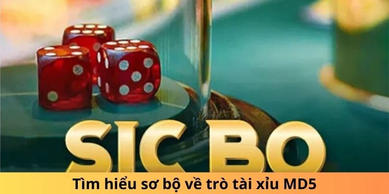 Khám phá ưu điểm nổi bật của tài xỉu md5