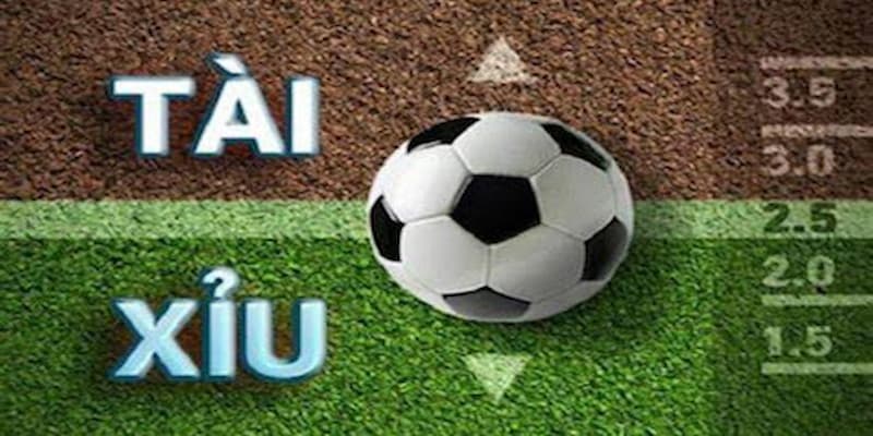 Mẹo chơi tài xỉu bóng đá giúp nâng cao tỷ lệ thắng