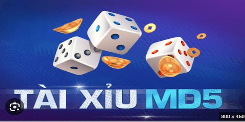 Tìm hiểu cụ thể và chi tiết về tài xỉu md5