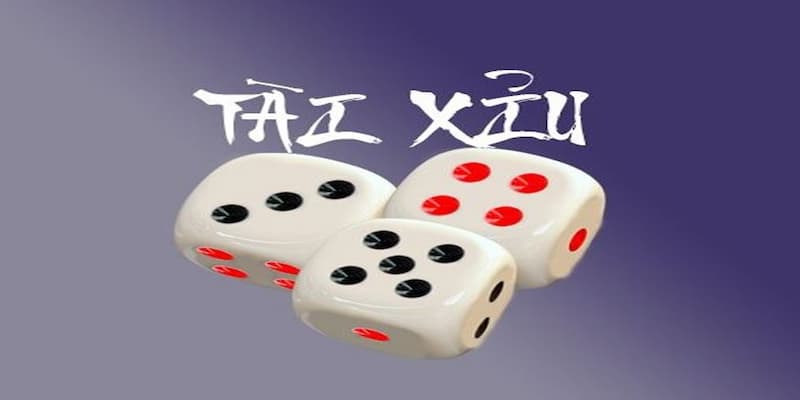 Tối ưu trải nghiệm chơi tài xỉu khi liên hệ taixiuvn.co
